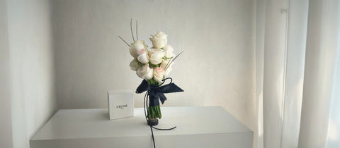 Minimalist Elegance