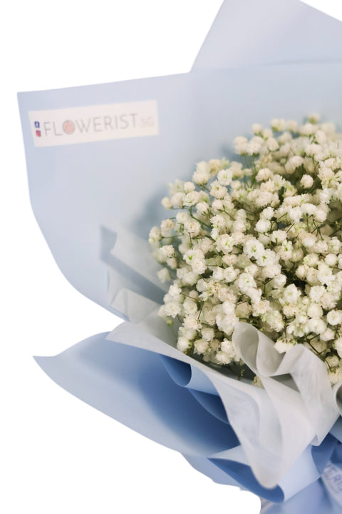 White Baby Breath Bouquet