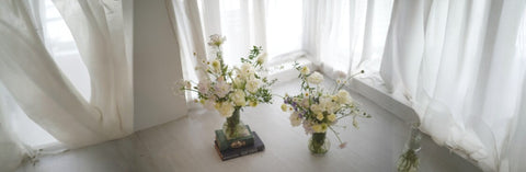 Nurturing Beautiful Blooms To Life With Love And Care