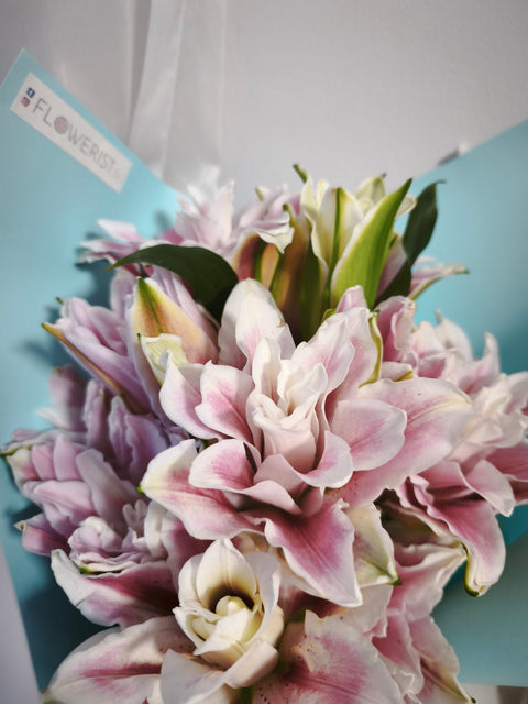 Lily Étoile