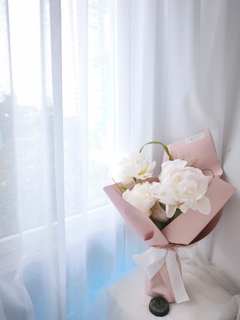 Paeonia