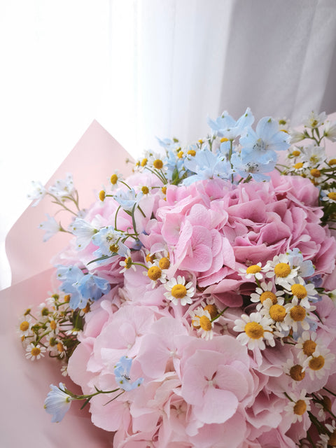 Hydrangea Garden