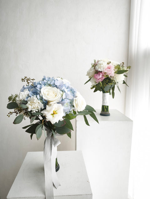 Hydrangea Poise
