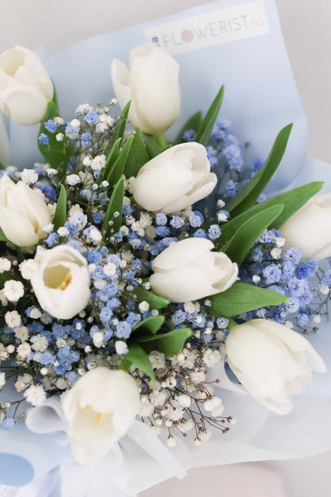 Tulip & Baby Breath Bouquet