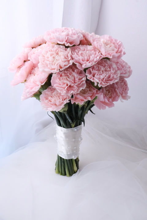 Carnation Poise