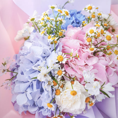 Hydrangea Garden
