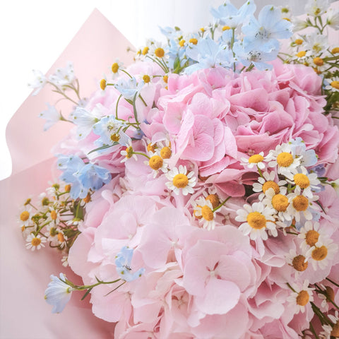 Hydrangea Garden