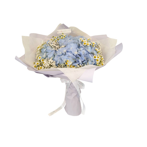 Hydrangea Chamomile Baby’s Breath Fresh Flower Bouquet