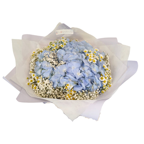 Hydrangea Chamomile Baby’s Breath Fresh Flower Bouquet