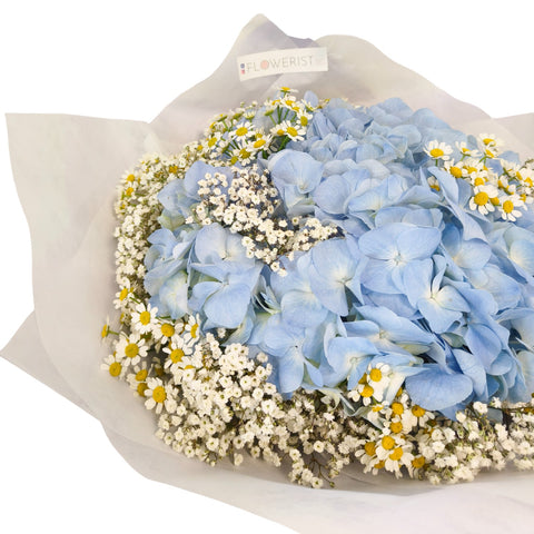 Hydrangea Chamomile Baby’s Breath Fresh Flower Bouquet