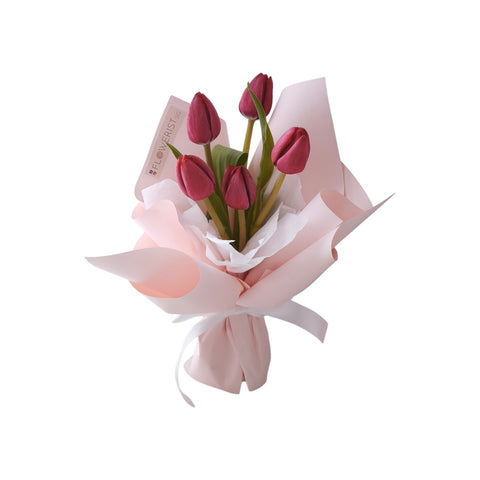Tulip Bliss