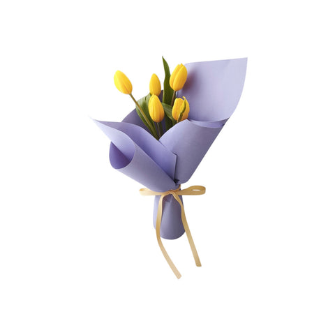 Tulip Bliss