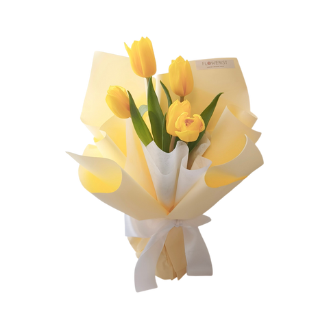 Tulip Bliss